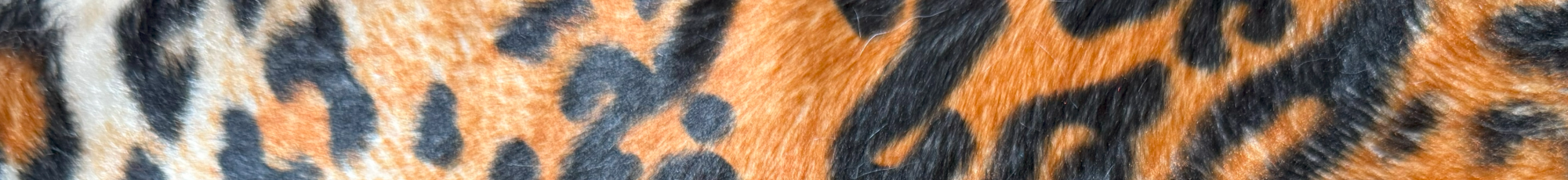 leopard print background