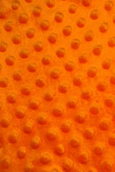 Close-up of bright orange fabric with a raised dotted texture, featuring evenly spaced circular bumps.