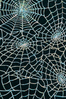 Black fabric patterned with multiple shimmering silver spiderweb designs.